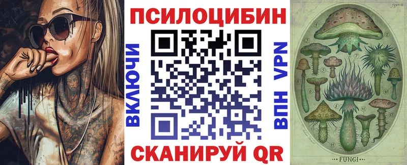 Галлюциногенные грибы мухоморы  Северская 